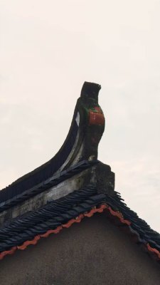 TamdBlogv1美化小部件的使用